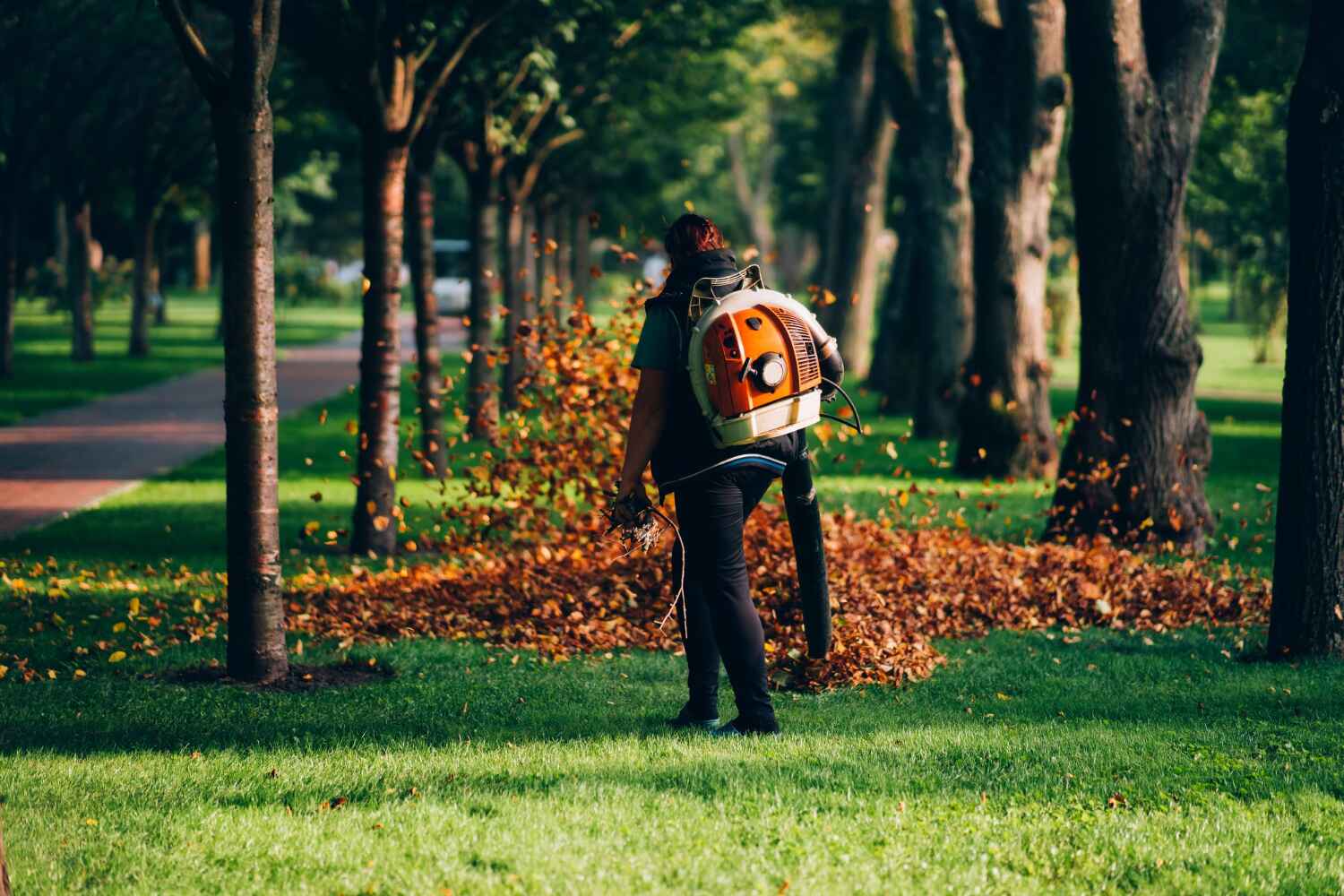 Best Emergency Tree Service  in Fruit Cove, FL